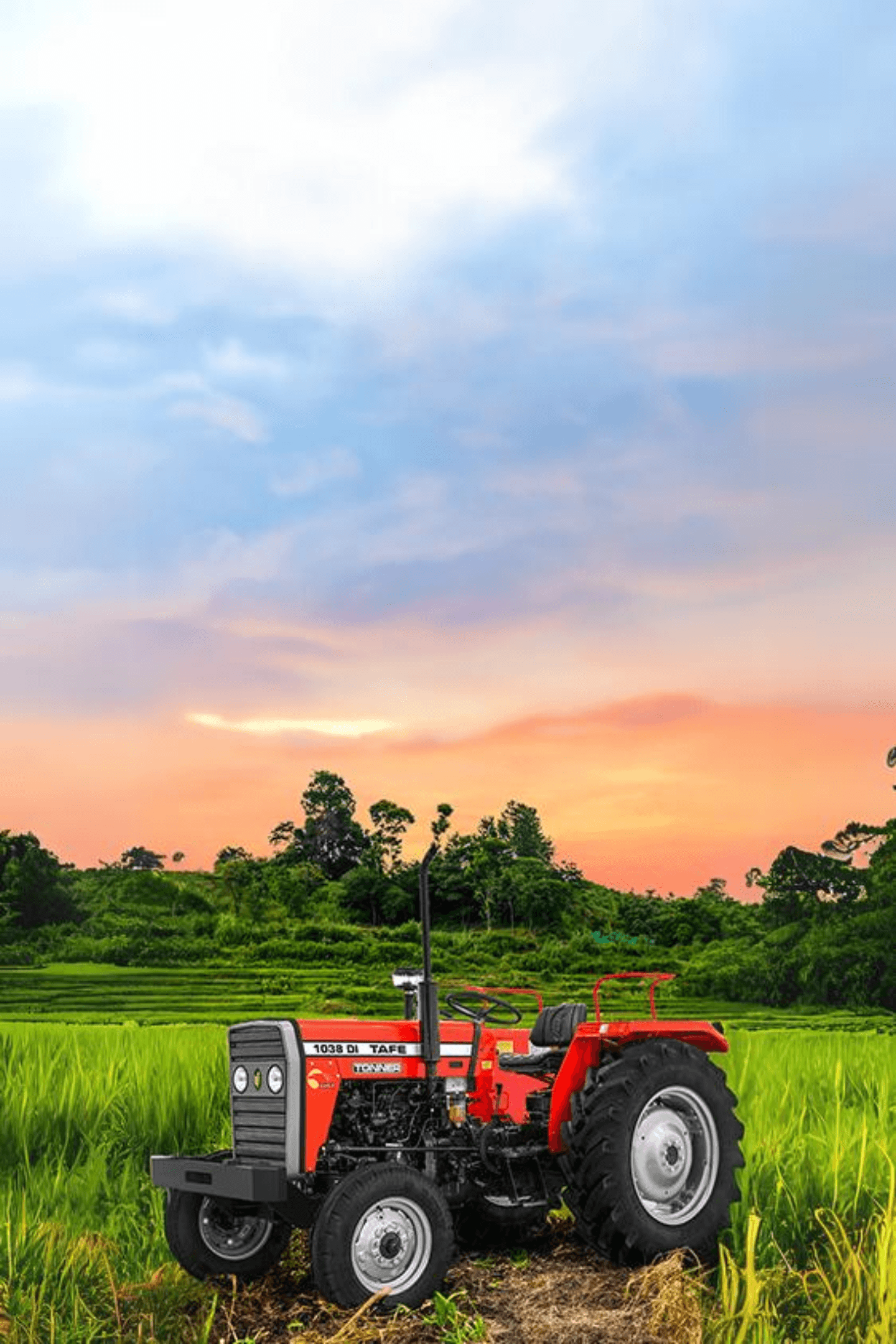 TAFE-1038DI-Tractor-Sunset-Scene-Green-Grass-Rural-Farmland.png