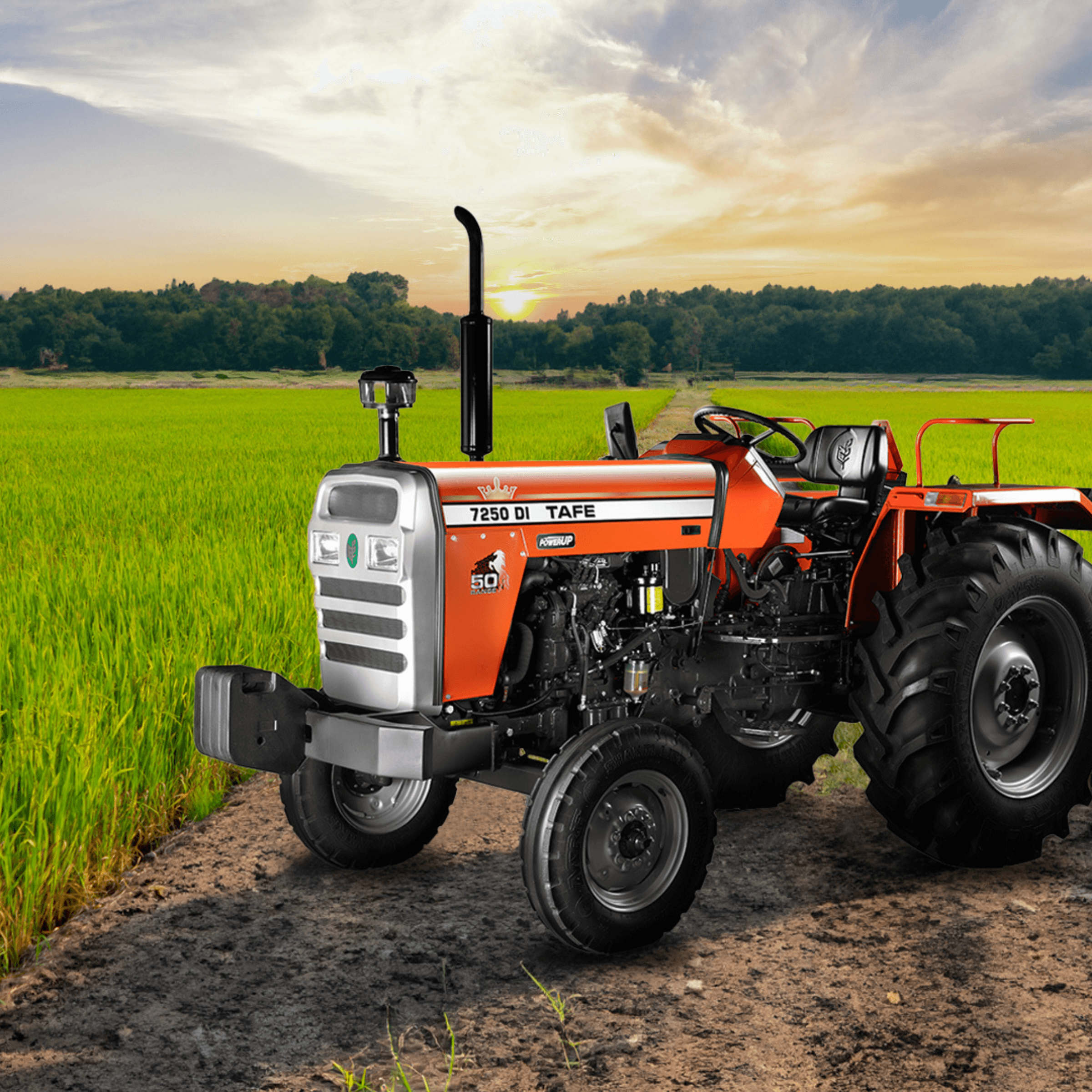 TAFE-7250-PU-2WD-Tractor-FrontView-OrangeBody-BolognaItaly-Performance.png