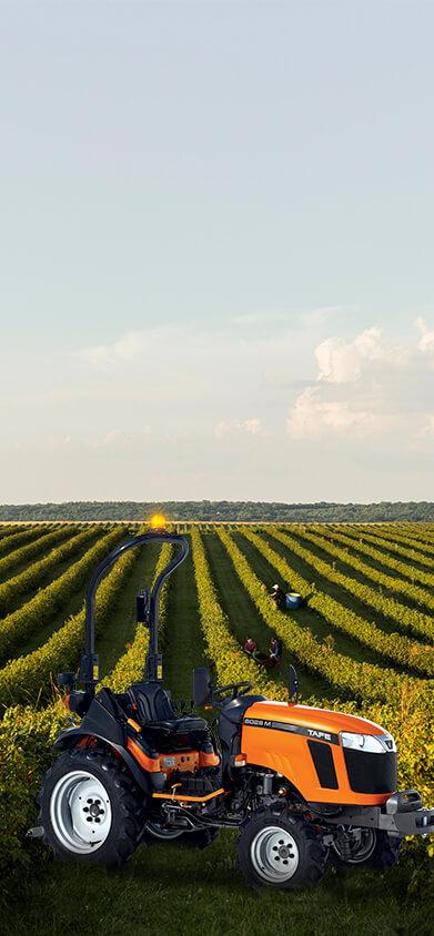 TAFE Tractor in Green Field